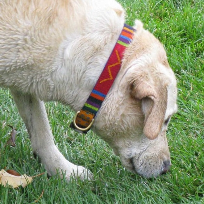 ATWCW Retro - Mayan Artisan-Handmade Martingale Collars