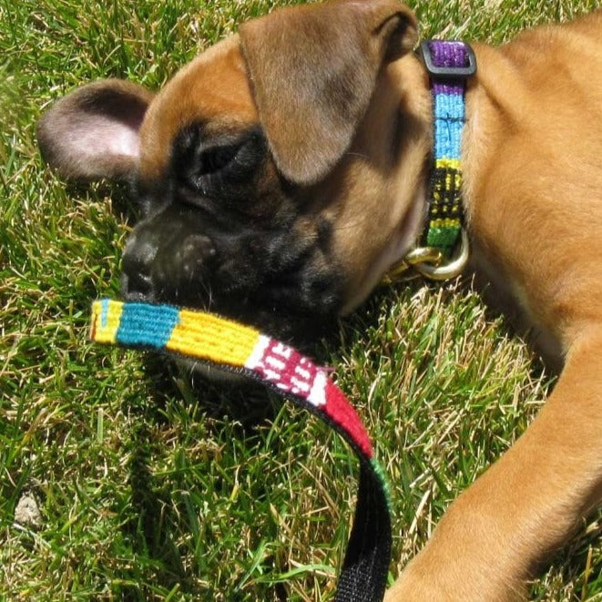 ATWCW At the Beach Catalina - Mayan Artisan-Handmade Pet Leash